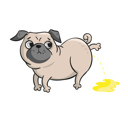 Cute pug. Vector hand drawn cartoon illustration isolated on white background.のイラスト素材