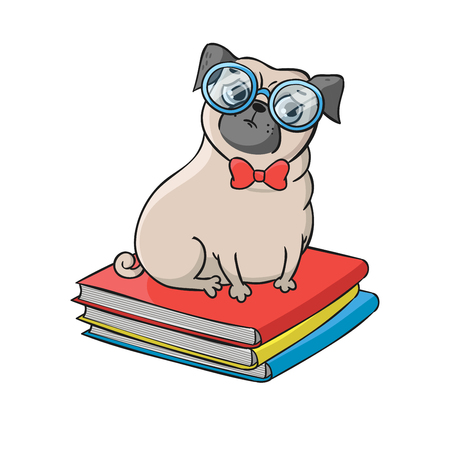 Cute pug isolated on white background.のイラスト素材