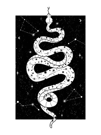 Occult trendy hand drawn illustration with snake, moon and stars.のイラスト素材