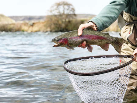 holding a fish