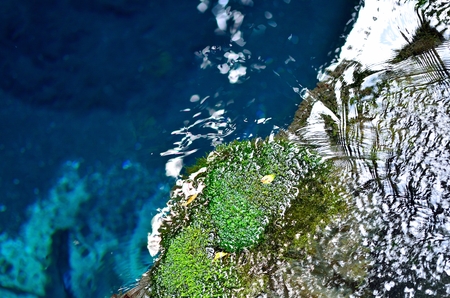 Spring  cakita spring waterの写真素材