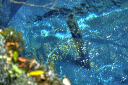 Spring  cakita spring waterの写真素材