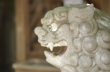 Guardian dogsの写真素材