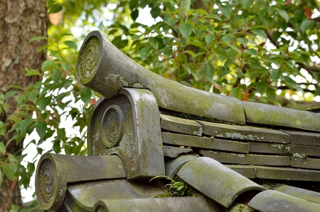 Roof tilesの写真素材