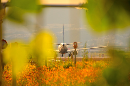 Take-offの写真素材