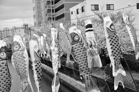 Carp streamerの写真素材