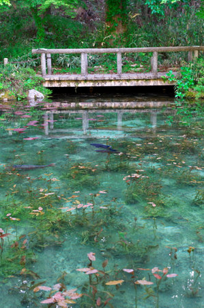 "Nameless Pond" in Gifu Prefectureの写真素材