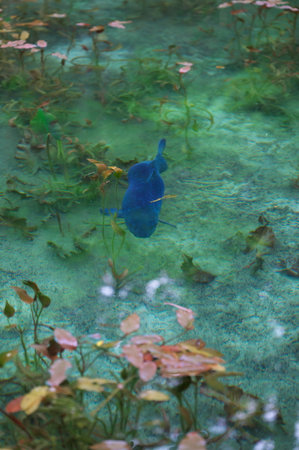 "Nameless Pond" in Gifu Prefectureの写真素材