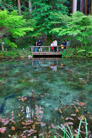 "Nameless Pond" in Gifu Prefectureの写真素材