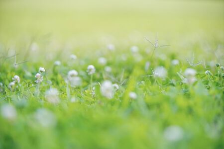 Fieldの写真素材