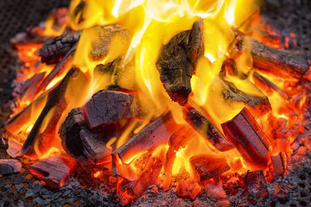 Bonfires and Campfiresの写真素材