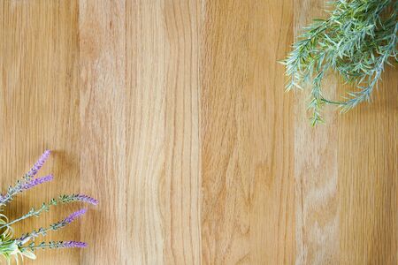 Natural text space and backgroundの写真素材