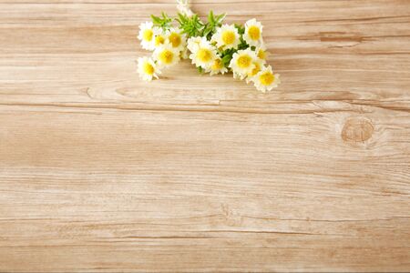 Natural text space and backgroundの写真素材
