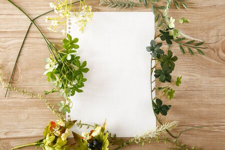 Blank paper with greenの写真素材