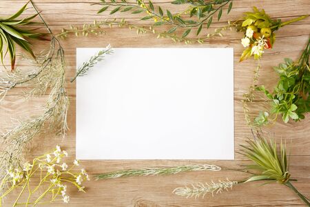 Blank paper with greenの写真素材