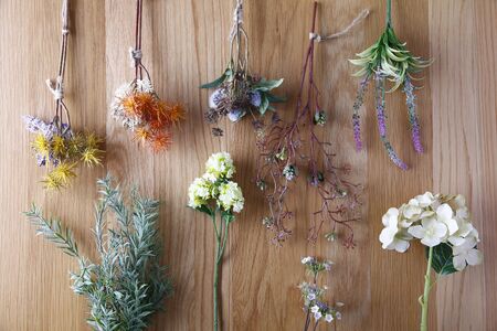 Plants and flowers on the tableの写真素材