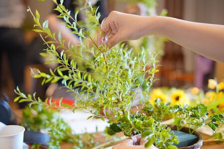 Flower arrangements classroomの写真素材