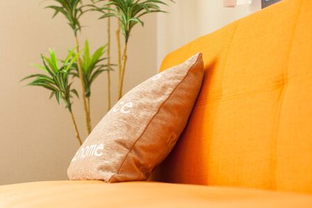 Interior cushionの写真素材