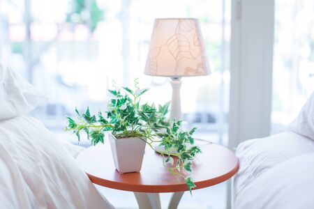 Green interiorの写真素材