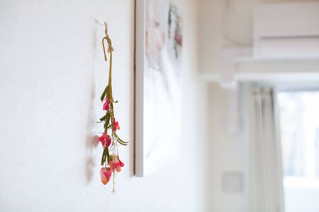 Green interiorの写真素材