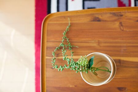 Green interiorの写真素材