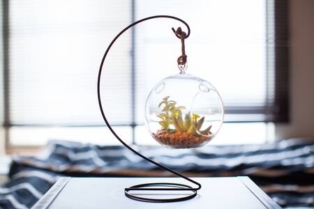 Green interiorの写真素材