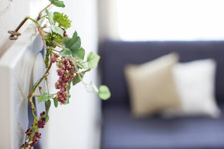 Green interiorの写真素材