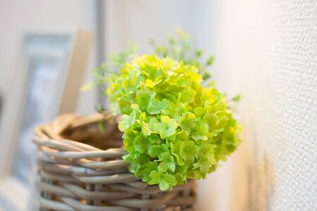 Green interior