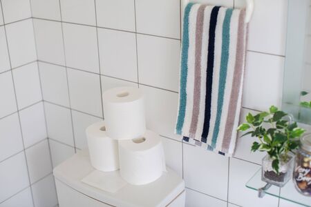 Bathroom with water closet with bidetの写真素材