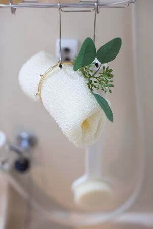 Body brush and washbasin in bathroomの写真素材
