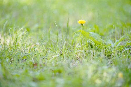 Fieldの写真素材