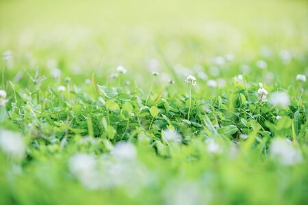 Fieldの写真素材