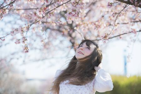Women looking at cherry blossomsの写真素材