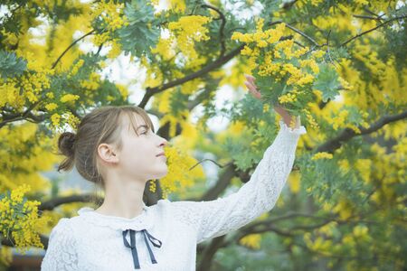 A woman who appreciates mimosaの写真素材