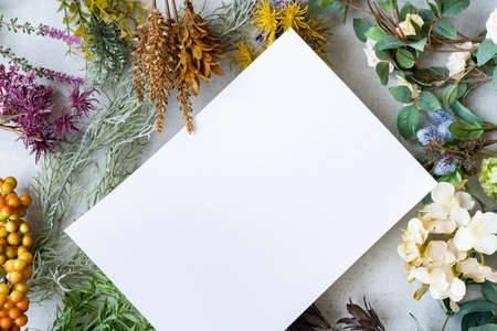 White paper and plants placed on a concrete planeの写真素材