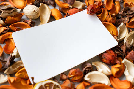 White paper and dried plants placed on a concrete planeの写真素材