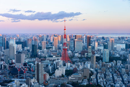 Central Tokyo and Tokyo Tower (9 photos at the same place from day to night)