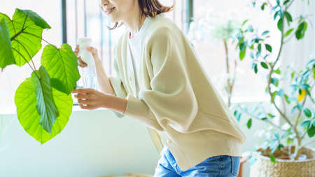 A woman watering a houseplant in a room