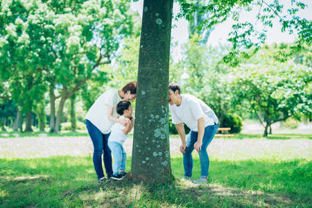 Parents and child happily hide and seek in the woodsの写真素材