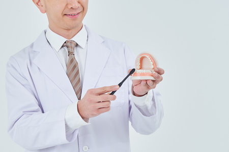 A man in a white coat with a dental model and white backgroundの写真素材