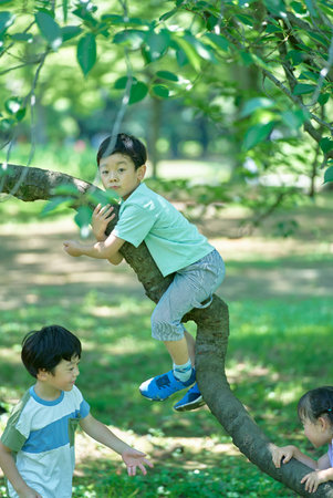 Children playing and climbing trees on fine dayの写真素材