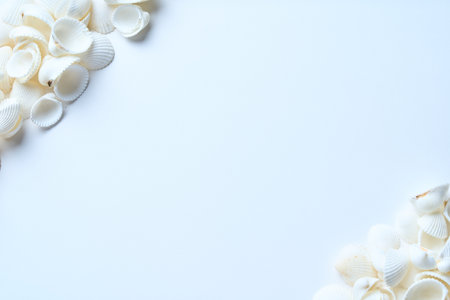 Many white shells on a white table