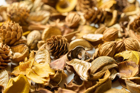 A lot of fallen leaves and pine cones on a tableの写真素材