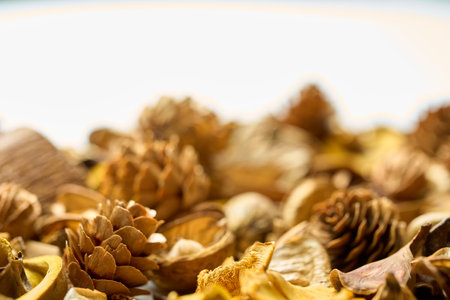 A lot of fallen leaves and pine cones on a table