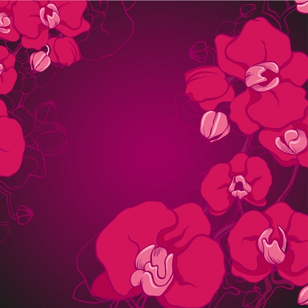 violet orchidのイラスト素材