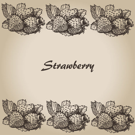 strawberry, Vector hand drawing cardのイラスト素材