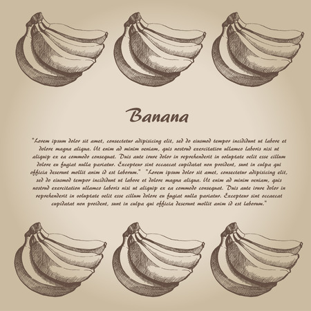 vector hand drown bananaのイラスト素材