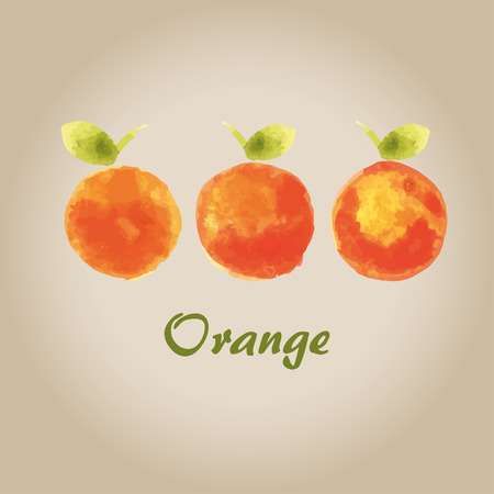 watercolor orangeのイラスト素材