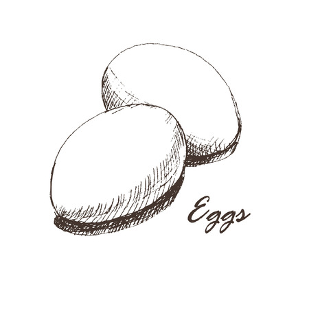 vector hand drown eggsのイラスト素材