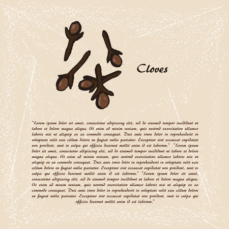 Vector sketch of clovesのイラスト素材